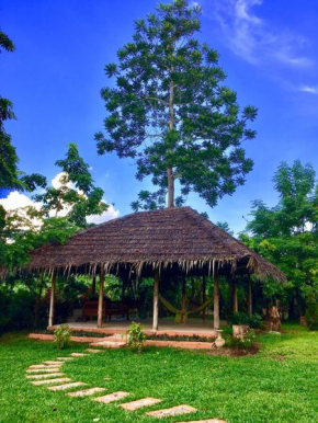 Chiang Dao Hostel